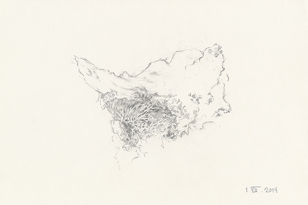 dibujo