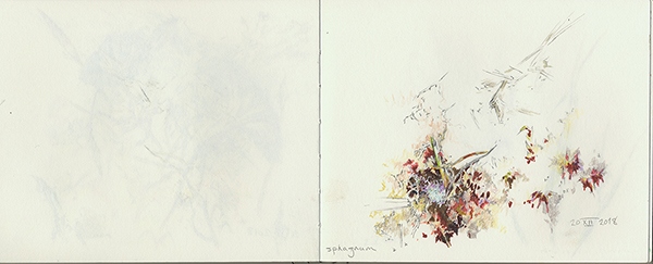 dibujo