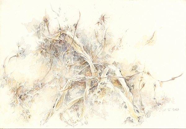 watercolor