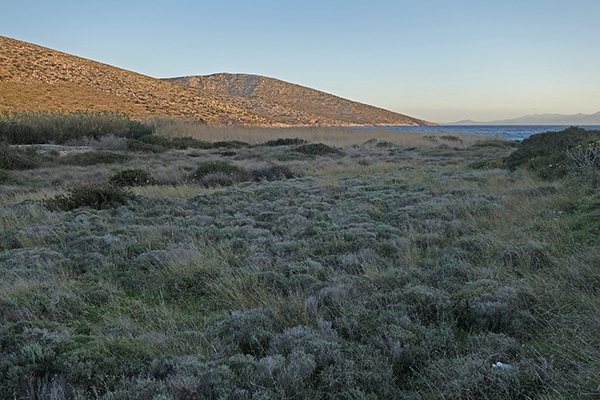 lugar