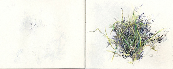 dibujo